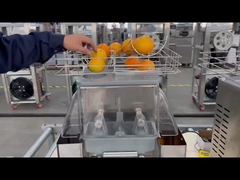 Pressão elétrica comercial de 110 V Sucicador de cítricos laranja com cesta de aço inoxidável